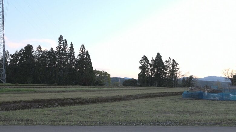 クマが目撃された周辺