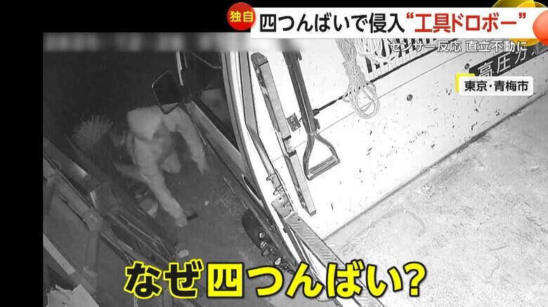 そろーりそろりと四つんばいで侵入する人物