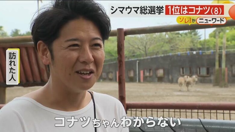 「コナツちゃんわからない」とコメントする来園者