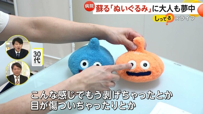 30年前のぬいぐるみのカウンセリングを受ける30代の来院者