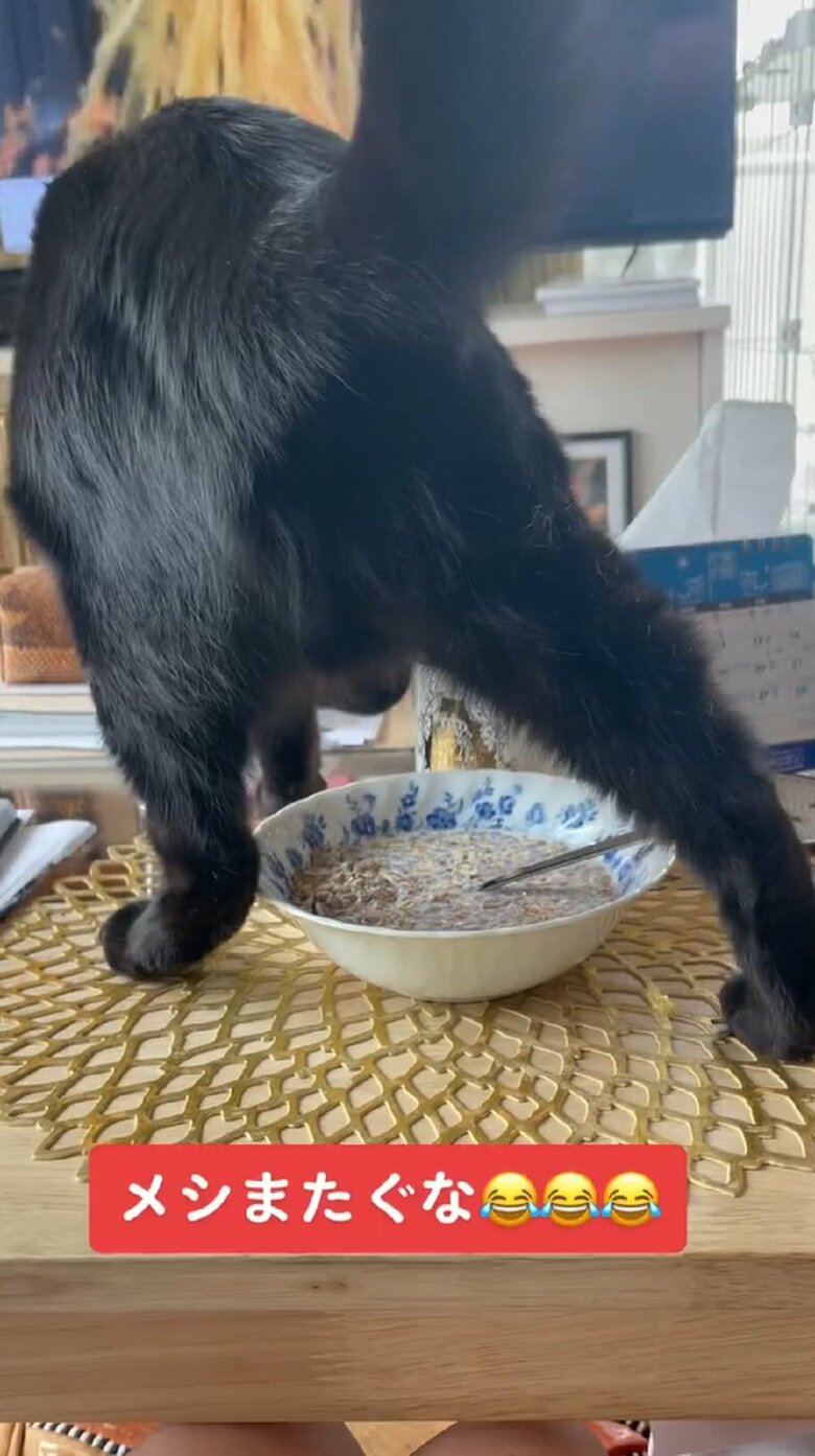 シリアルをまたいでもカキカキしている