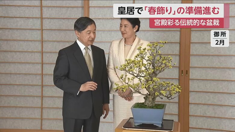 宮内庁庭園課の手がける盆栽は陛下の誕生日映像の撮影にも使用されている