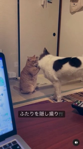 提供：naomiさん