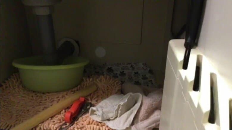 ツイキャス配信が開始