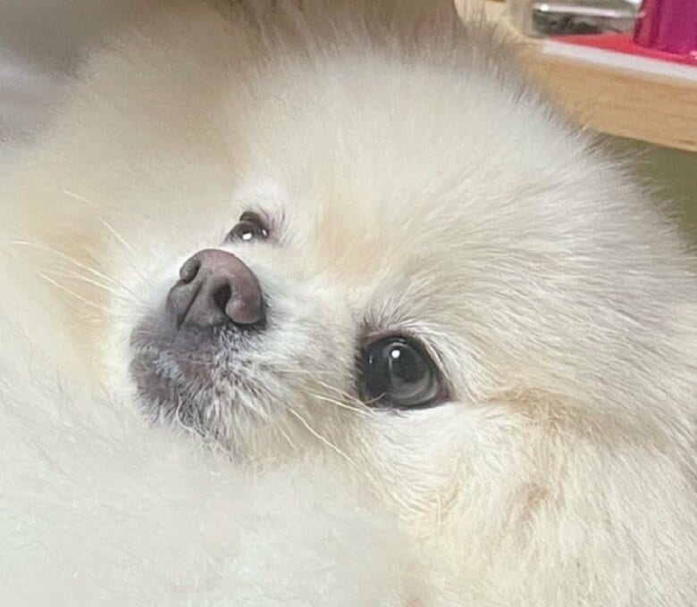 遠くを眺め“無”の状態