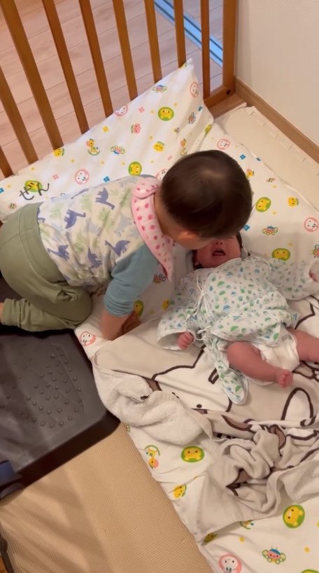 提供：＠zen_pokoさん