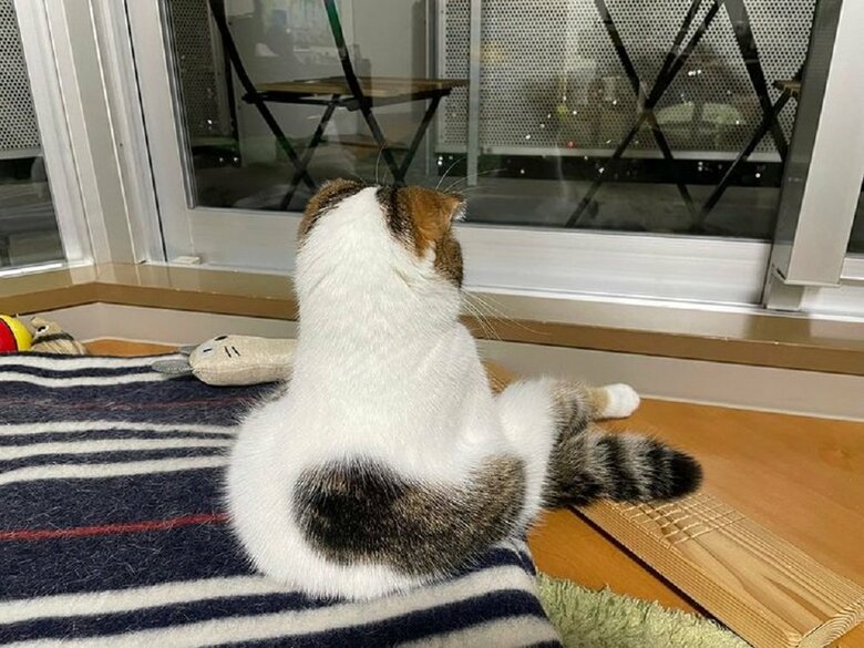 座っているこうしちゃんの後ろ姿