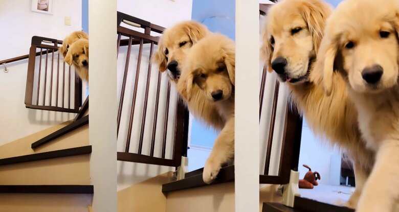 提供：efrinmanさん