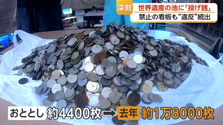 池の中からダイバーが回収したもの