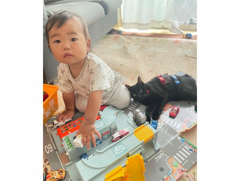 ロンくんの背中にもおもちゃが！（提供：ゴンゾウR4さん）