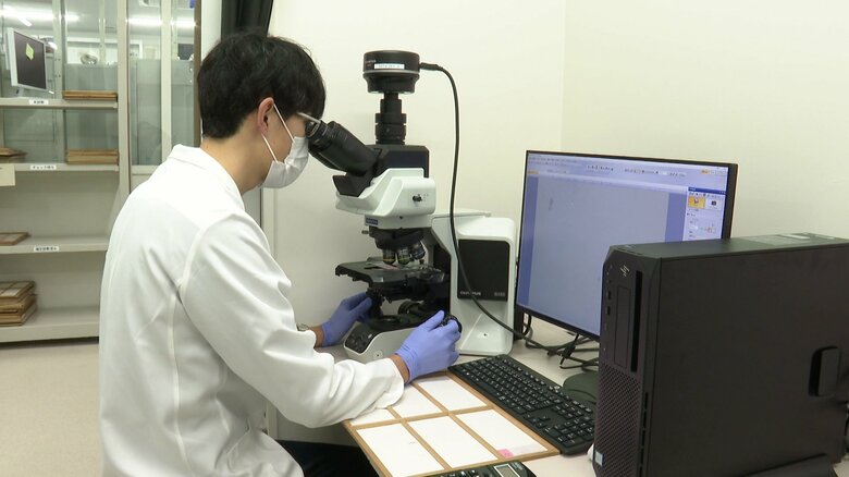 花粉の観測（長崎大学病院）