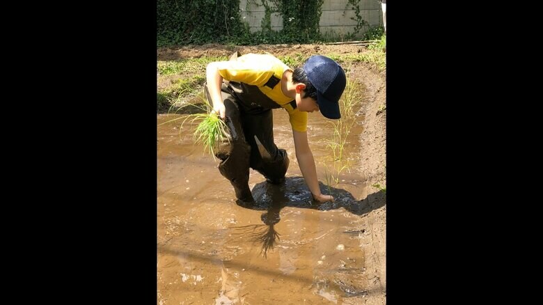 2018年撮影　田植え（当時11歳）