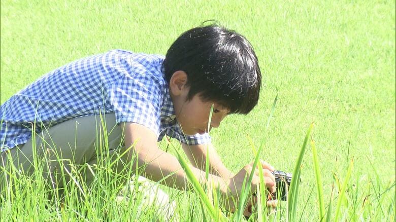 赤坂御用地でトンボを観察された（12歳の誕生日映像・2018年8月撮影）