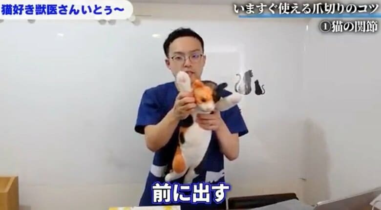 前足を前方に優しく引っ張る体勢がいい