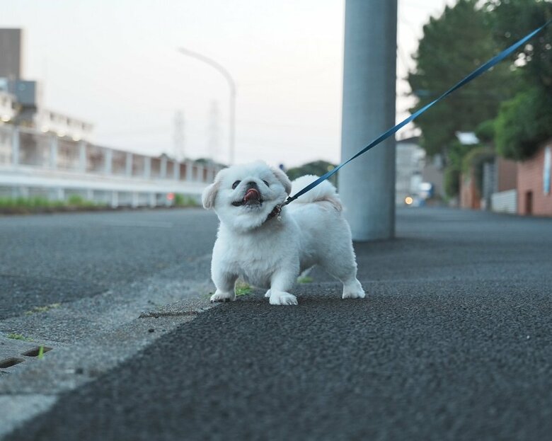 「帰りたくない」と帰宅拒否