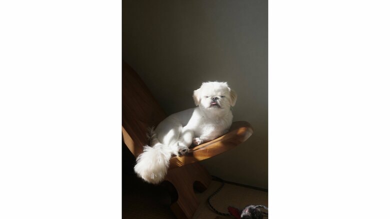 提供：LOVEYOUさん