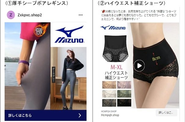 消費者庁が公開した偽サイト