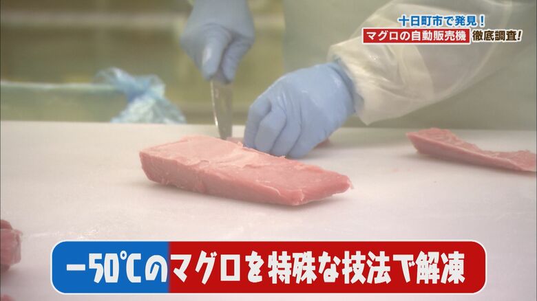 熟練の包丁さばきでマグロが加工されていく