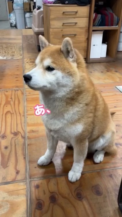 提供：エイトデザイン