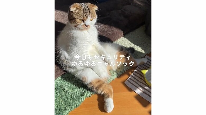 起きたこうしちゃん