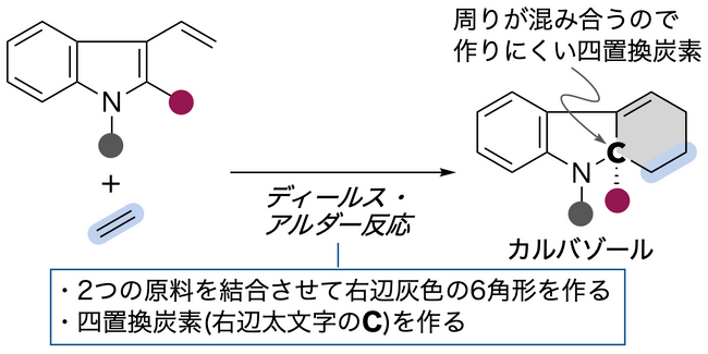 図1 ディールス・アルダー反応で実現する 高純度カルバゾール合成計画