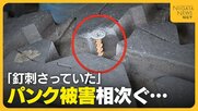 「釘刺さっていた」花見客でにぎわう中“タイヤのパンク”相次ぐ…7台の車が被害に「タイヤ新しくしたばかり…残念」