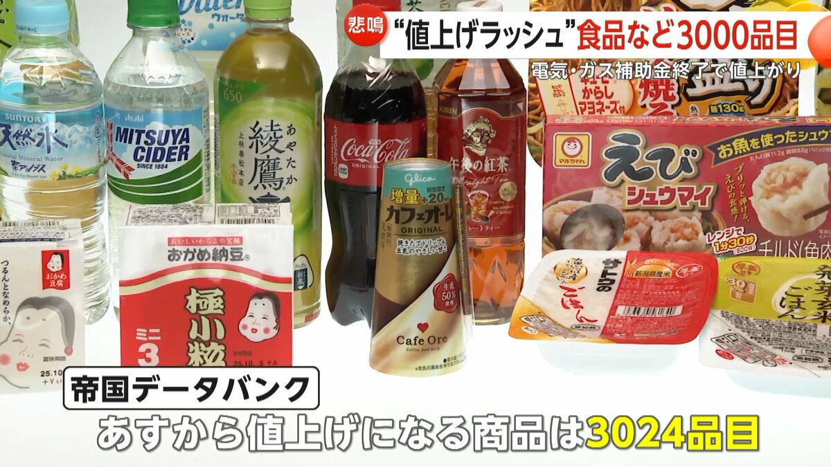 10月15日18時00分までの出品お値下げ受け付けます。 質素な生活より貧しい生活に変わりそう」10月“値上げラッシュ”食品など