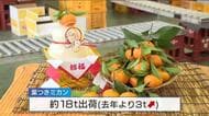 正月の縁起物『葉つきミカン』出荷始まる　すべて手作業で箱詰め「天候にも恵まれ玉太りも良い」広島・呉市