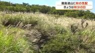 【秋分の日】霧島連山に秋の気配　山頂付近で風に揺れるススキ