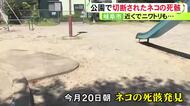 発見者「ここにネコの頭が…」公園と住宅敷地内でネコとニワトリの切断された死骸が相次ぎ見つかる 警察がパトロール強化
