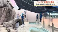 魚津水族館、夏の暑さ対策　すだれ設置でアザラシとペンギンのプール温度を10度下げる