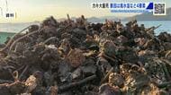 カキ大量死　要因は…高水温、高塩分、貧酸素、少雨よる餌不足の４要素　有識者会議が分析