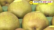 まもなく販売解禁 ラ・フランス出荷式 山形県天童市