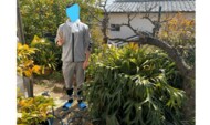 おばあちゃんが30年育てたシダが「立派すぎる…」 引き取り手を探す投稿に反響続々