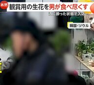 “まるでサラダバー”無人生花店で酔っぱらい男が“観賞用生花”食べ尽くす様子がカメラに　3時間滞在で店内荒れ放題　韓国・ソウル