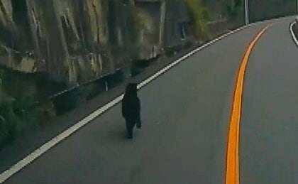 安芸太田町で1メートルほどのクマ　目撃者は「びっくりした。生まれて初めて見た」　県は注意呼びかけ