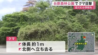 台原森林公園敷地内にクマ出没　科学館近くで目撃　周辺の小学校や警察が注意呼びかけ〈仙台市〉