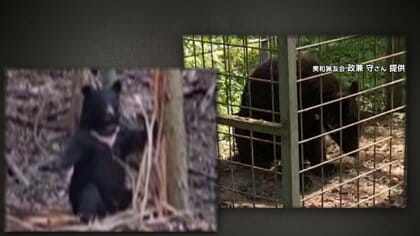 「猟友会も絶滅危惧種になる」今年は“異変”　人里にクマ出没相次ぐ　最終手段「クマ撃退ポール」に注文殺到