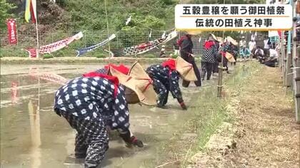 秋には鏡餅に　京都・福知山の大原神社で御田植祭　地元住民や子どもたちが伝統行事を受け継ぐ　京都・福知山市