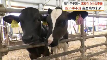 牛に青春をかける宮城農業高校「牛部」　和牛甲子園の総合優勝へ餌を工夫　減少する畜産の未来担う〈宮城〉