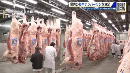 「価格は高いが品質は上々」広島県産 牛肉の品評会　出品２３頭中１９頭が最高ランクの「A５」に