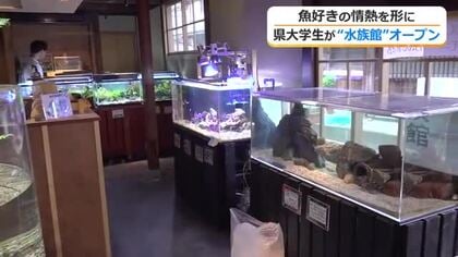 目指すは“日本一住みたい水族館”　魚好き大学生の情熱が詰まった「おばま水族館」オープン　築120年以上の古民家を改装し60種を展示　福井
