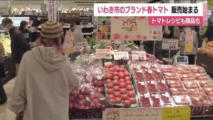 いわき産の春トマト『うらら～ulala～』販売開始　5月までの期間限定出荷　1日にキックオフイベント