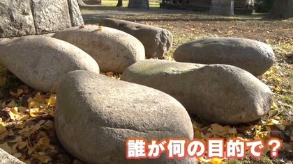 img_cdb67089f91a05969ffee1abcb