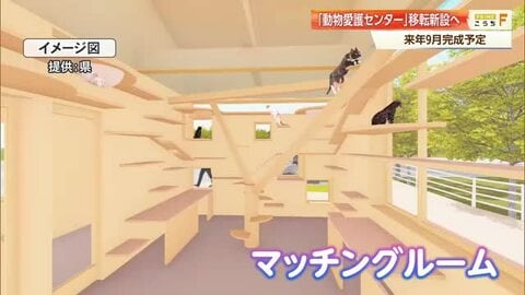 【高知】動物愛護センターが高知市高須に移転へ　収容数拡大やマッチングルーム新設、総事業費15億円