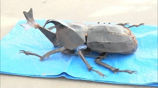 カブトムシ様 偶然が起こした奇跡】猛暑で池の水位が下がり…盗難された10数キロの