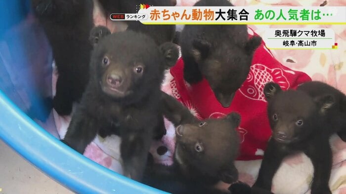 ニュースONE