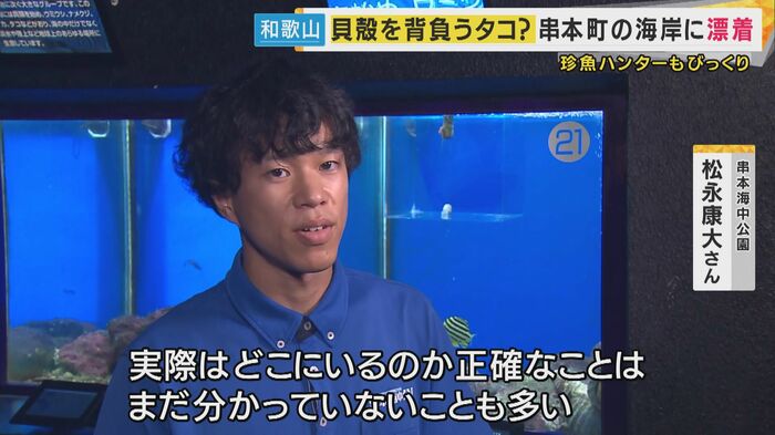 まだ謎が多い「タコブネ」は串本海中公園で展示中