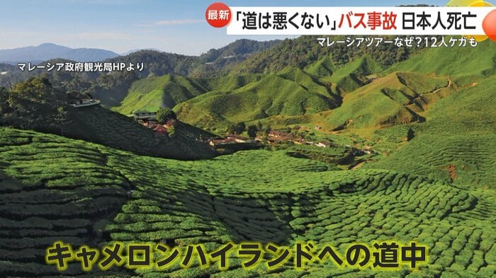 絶景の高原リゾート「キャメロンハイランド」に向かう途中で事故は起きた