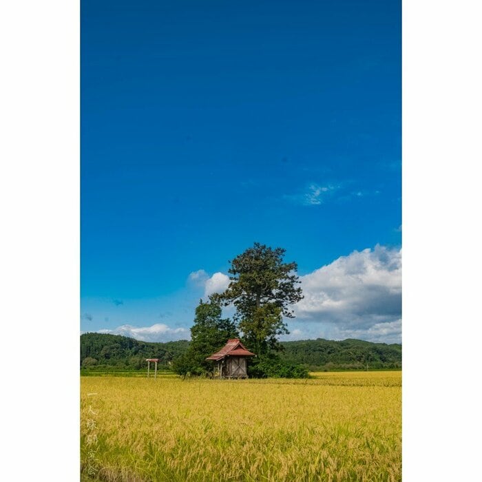 宮城県・荒脛巾（あらはばき）神社（2025年9月撮影）